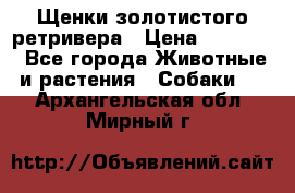 Щенки золотистого ретривера › Цена ­ 15 000 - Все города Животные и растения » Собаки   . Архангельская обл.,Мирный г.